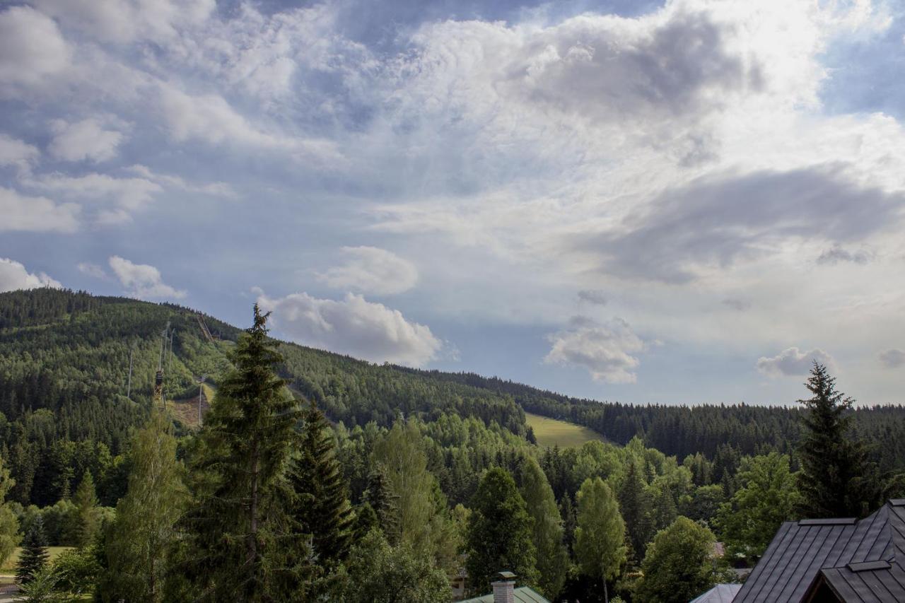 Enjoyharrachov - Atraktivni Slunny Klimatizovany Apartman 14 V Centru Harrachova Se Saunou, Parkovanim, Wifi-Wlan, Sat, Herni Konzoli, Pc S Win 10, Netflix Zdarma A Moznosti Dobijeni Auta S Jedinecnym Vyhledem Na Certovu Horu Se Skokanskymi Mustky Buitenkant foto