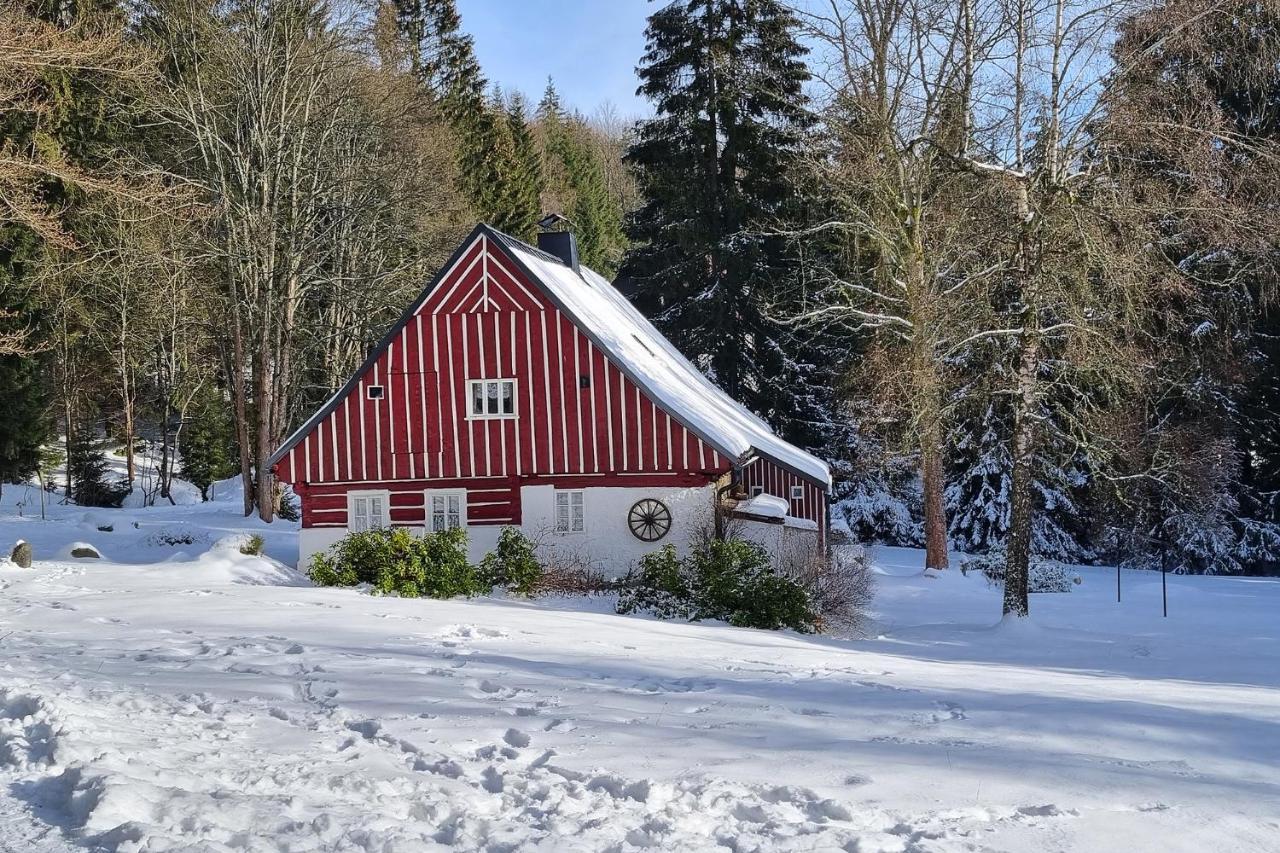 Enjoyharrachov - Atraktivni Slunny Klimatizovany Apartman 14 V Centru Harrachova Se Saunou, Parkovanim, Wifi-Wlan, Sat, Herni Konzoli, Pc S Win 10, Netflix Zdarma A Moznosti Dobijeni Auta S Jedinecnym Vyhledem Na Certovu Horu Se Skokanskymi Mustky Buitenkant foto