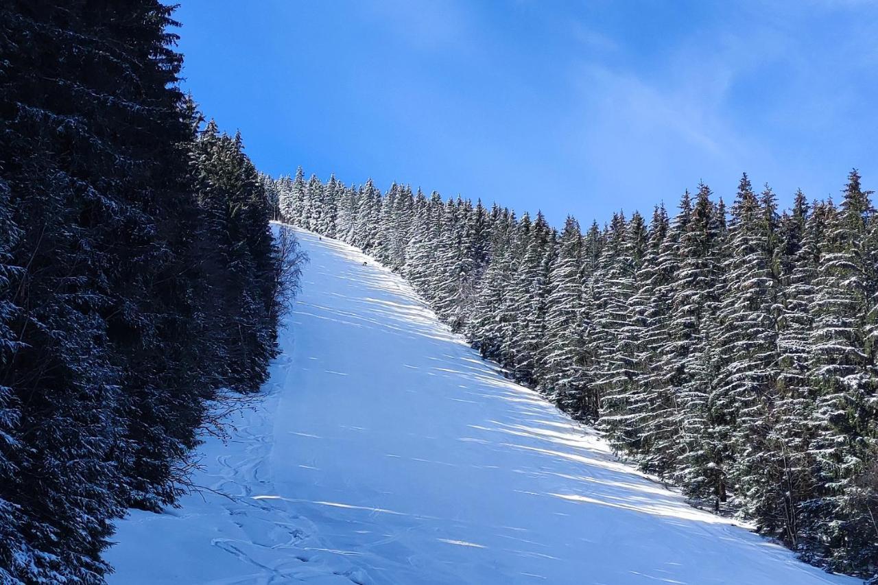 Enjoyharrachov - Atraktivni Slunny Klimatizovany Apartman 14 V Centru Harrachova Se Saunou, Parkovanim, Wifi-Wlan, Sat, Herni Konzoli, Pc S Win 10, Netflix Zdarma A Moznosti Dobijeni Auta S Jedinecnym Vyhledem Na Certovu Horu Se Skokanskymi Mustky Buitenkant foto