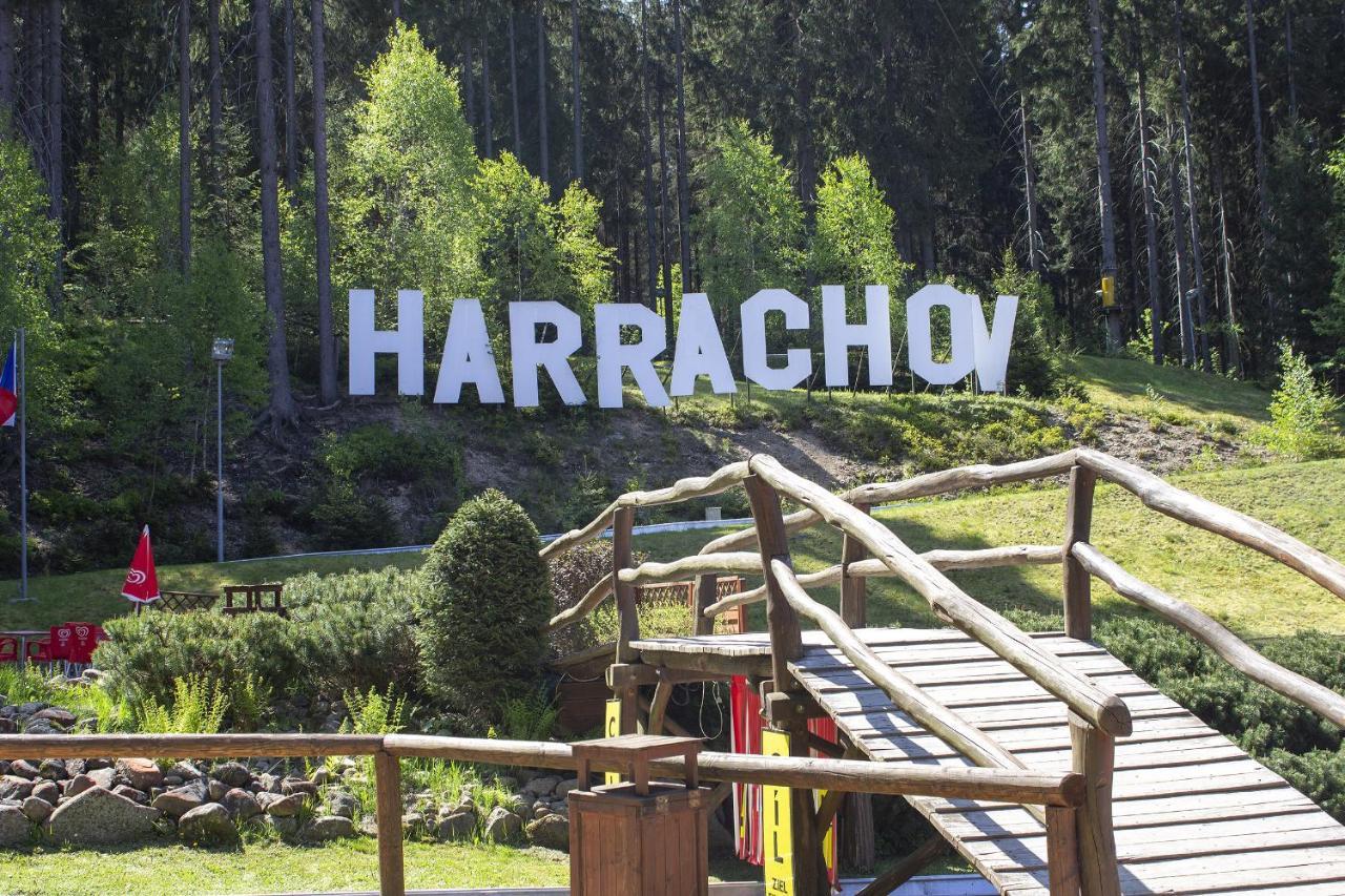 Enjoyharrachov - Atraktivni Slunny Klimatizovany Apartman 14 V Centru Harrachova Se Saunou, Parkovanim, Wifi-Wlan, Sat, Herni Konzoli, Pc S Win 10, Netflix Zdarma A Moznosti Dobijeni Auta S Jedinecnym Vyhledem Na Certovu Horu Se Skokanskymi Mustky Buitenkant foto